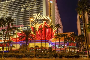 Traditionally American Gallery: Neon lights, Las Vegas Strip at dusk with Flamingo Facade and palm trees, Las Vegas, Nevada