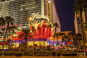 Nevada Prints: Neon lights, Las Vegas Strip at dusk with Flamingo Facade and palm trees