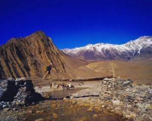 Himalaya Prints: Nepalese man on a bridge crossing a stream in the Kangaki
