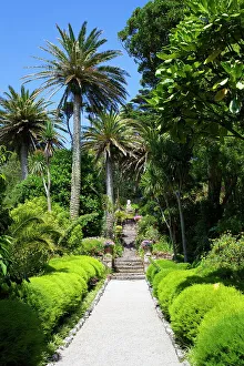 The Way Forward Prints: Neptunes Steps, Abbey Gardens, Isle of Tresco, Isles of Scilly, United Kingdom, Europe