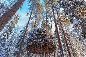 Chill Prints: The nest, the new concept of the last accommodation on top of trees of the Tree Hotel in Harads