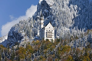 Grande Prints: Neuschwanstein Castle, Bavaria, Germany, Europe
