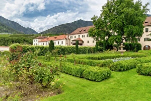Shrub Collection: Neustift Convent garden, Brixen, South Tyrol, Italy, Europe