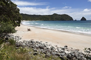 Waikato Prints: New Chums Beach and Wainuiototo Bay