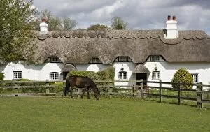 New Forest thatched cottage and pony, Hampshire, England, United Kingdom, Europe
