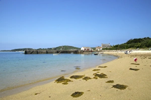 Seaweed Prints: New Grimsby Quay, Isle of Tresco, Isles of Scilly, United Kingdom, Europe