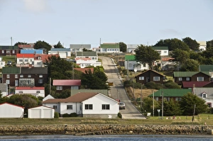 Images Dated 3rd March 2009: New housing, Port Stanley, Falkland Islands, South America