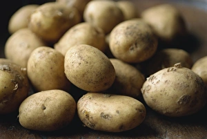 Vege Table Prints: New Potatoes