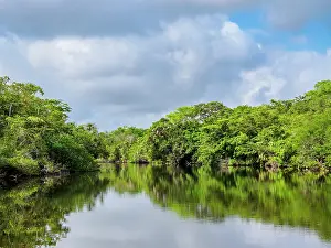 Wetlands Prints: New River, Orange Walk District, Belize