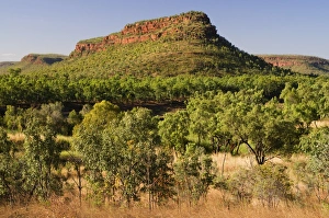 Images Dated 3rd May 2008: Newcastle Range, Gregory National Park, Northern Territory, Australia, Pacific
