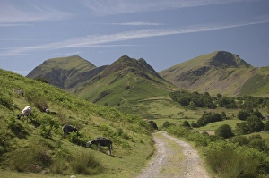 Newlands Valley, Lake District, Cumbria, England, United Kingdom, Europe