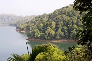Kerala Prints: Neyyar Reservoir and wildlife sanctuary, Trivandrum, Kerala, India, Asia