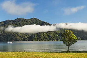 Australasia Prints: Ngakuta Bay, Marlborough Sounds, Picton, South Island, New Zealand, Pacific