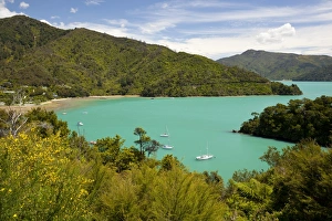 Marlborough Region Prints: Ngakuta Bay, Queen Charlotte Sound