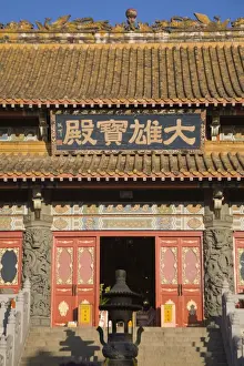 Po Lin Prints: Ngong Ping, Po Lin Buddhist Monastery and temple complex, Lantau Island