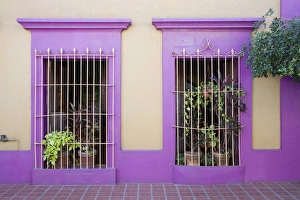 Art Galleries Prints: Nid Art Gallery, Old Town District, Mazatlan, Sinaloa State, Mexico, North America