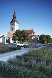 Images Dated 20th August 2009: Niguliste Church, Tallinn, Estonia, Baltic States, Europe