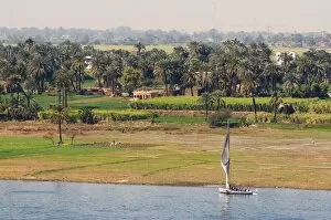 The Nile, Luxor, Thebes , Middle Egypt, Egypt, North Africa, Africa