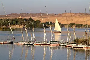 Feluccas Prints: Nile scene near Aswan, Egypt, North Africa, Africa