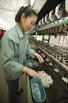 Images Dated 18th November 2008: No. 1 Silk Factory, Suzhou, Jiangsu, China, Asia