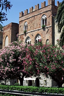 Noli, Riviera of Palms
