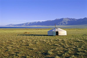 Yurt Prints: Nomad camp