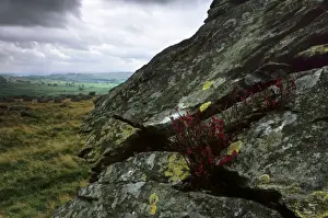 Norber erratics near Austwick, erratic boulders left on limestone pavement by erosion