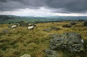 Norber erratics near Austwick, erratic boulders left on limestone pavement by erosion