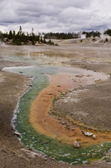 Images Dated 4th October 2007: Norris Geyser Basin, Yellowstone National Park, UNESCO World Heritage Site