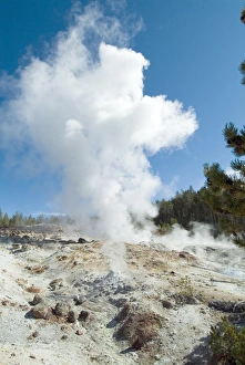Images Dated 23rd January 2000: Norris Geysers