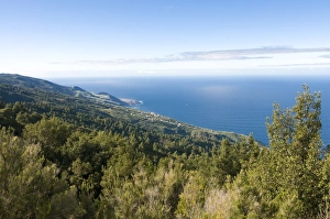 North Coast Prints: North coast of La Palma, Canary Islands, Spain, Atlantic, Europe