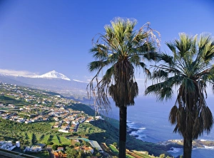 Canary Island Prints: North coast and Mount Teide