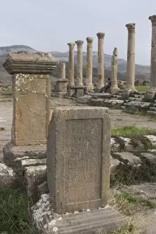 North Forum, Djemila, UNESCO World Heritage Site, Algeria, North Africa, Africa