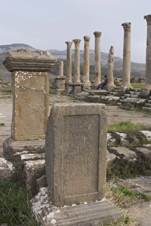 Images Dated 24th December 2007: North Forum, Djemila, UNESCO World Heritage Site, Algeria, North Africa, Africa
