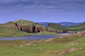 Shetland Prints: North Ham and Town loch