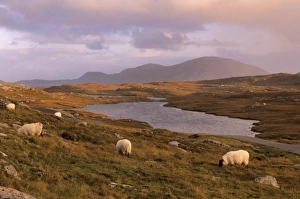 North Harris Prints: North Harris Hills near Govig (Gobhaigh)