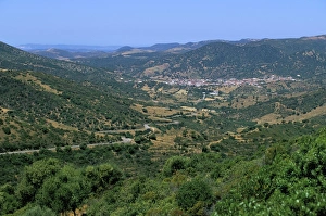Northern area