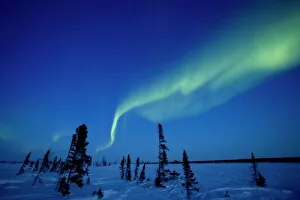 Canadian Prints: Northern Light, Aurora Borealis, Churchill, Manitoba, Canada