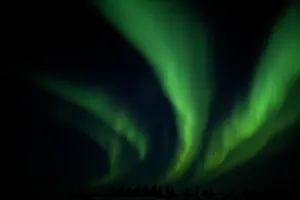 Canadian Prints: Northern Light, Aurora Borealis, Churchill, Manitoba, Canada
