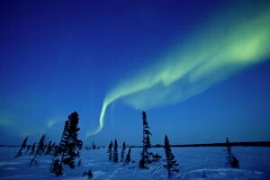 Images Dated 29th February 2008: Northern Light, Aurora Borealis, Churchill, Manitoba, Canada