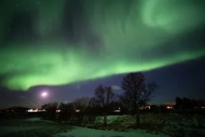 Night Sky Prints: Northern Lights (aurora borealis), Laukvik, Nordland, Norway, Scandinavia, Europe