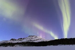 Northern Lights (Aurora borealis), Skoddebergvatnet, Grovfjord, Troms county, Lofoten Islands