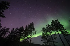 Meteorological Prints: Northern lights (aurora borealis) over Lapland forest, Jukkasjarvi, Sweden, Scandinavia