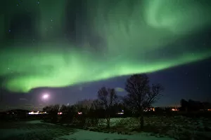 Dramatic Sky Gallery: Northern Lights (aurora borealis), Laukvik, Nordland, Norway, Scandinavia, Europe