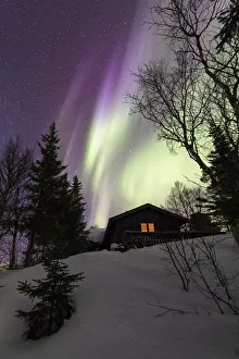 Snowy Prints: Northern Lights (Aurora borealis) over wood hut, Grovfjord, Troms county, Lofoten Islands