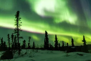 Northern Prints: Northern lights dance above boreal forest at Great Slave Lake in wintertime