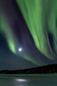 Excitement Prints: Northern lights display above boreal forest near Great Slave Lake in Northwest Territories Canada during nighttime