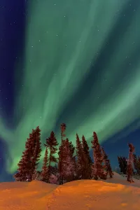 Northern Prints: Northern Lights display over boreal forest in Northwest Territories Canada at Great Slave Lake