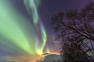 Green Colour Prints: Northern Lights on the icy landscape of Svensby, Lyngen Alps, Troms, Lapland, Norway
