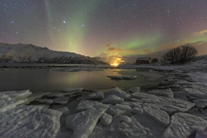 Green Colour Prints: The Northern Lights illuminates the icy landscape in Svensby, Lyngen Alps, Troms